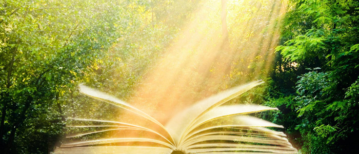 book объяснение