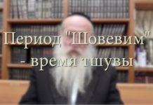 Период «Шовевим» – время тшувы