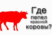 Хукат. У кого был пепел красной коровы?
