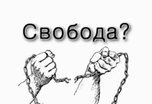 Зачем мы вышли на свободу?