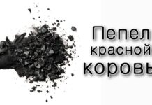 Откуда у Аризаля пепел красной коровы?!
