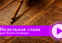 недельная глава
