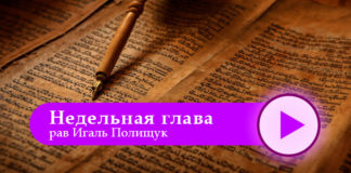 недельная глава