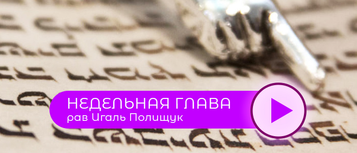 parsha4