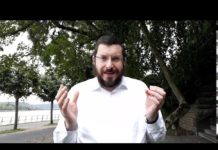 Шофтим – Забота о мире, сохранение природы