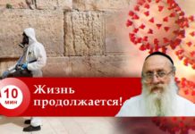 жизнь продолжается