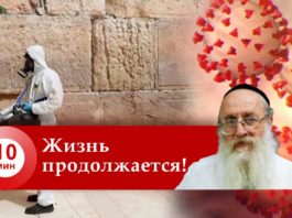 жизнь продолжается