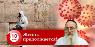 жизнь продолжается