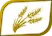 shmita3