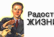 Толдот – Радость жизни без алкоголя