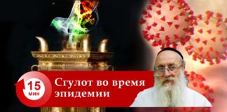 сгулот