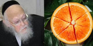 дом эльяшивых