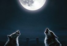 Ангел-хранитель Кнаана — Афтара главы Шлах ангел-хранитель кнаана