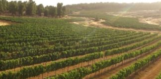 земля не была пустынной
