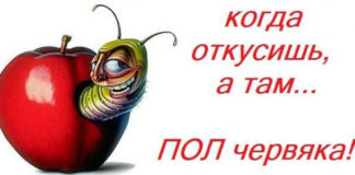 пища