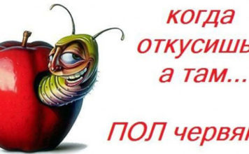 пища