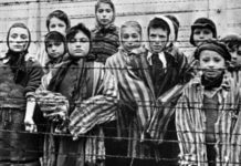 Почему евреи Катастрофы безропотно шли на смерть? евреи катастрофы шли на смерть